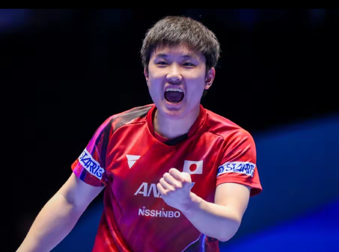 郑钦文的战 郑钦文的战